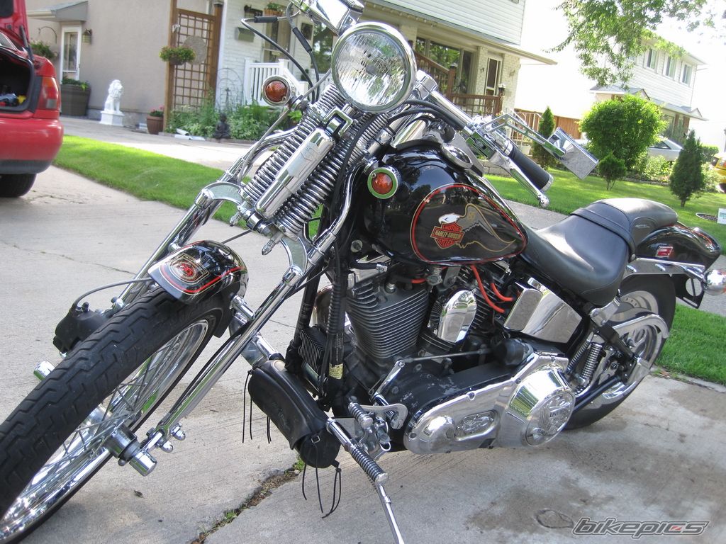 Photo 2638641