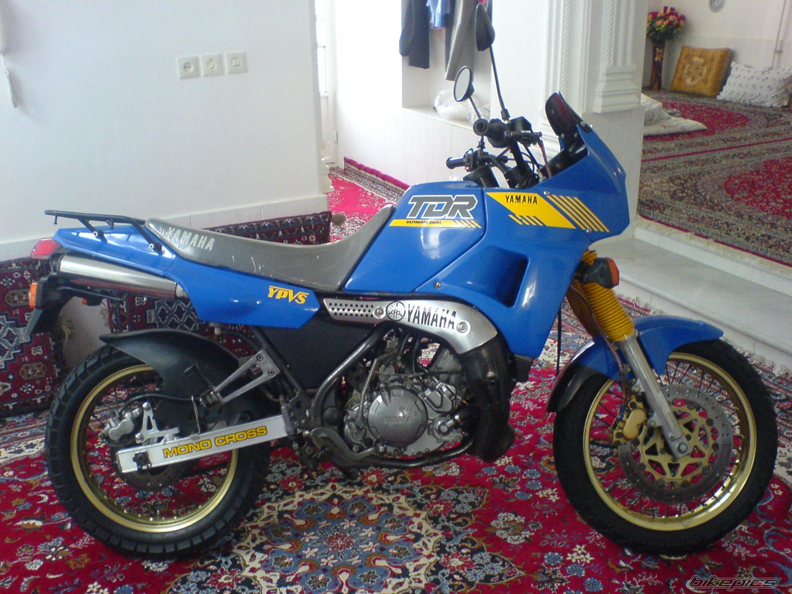 Photo 2638692