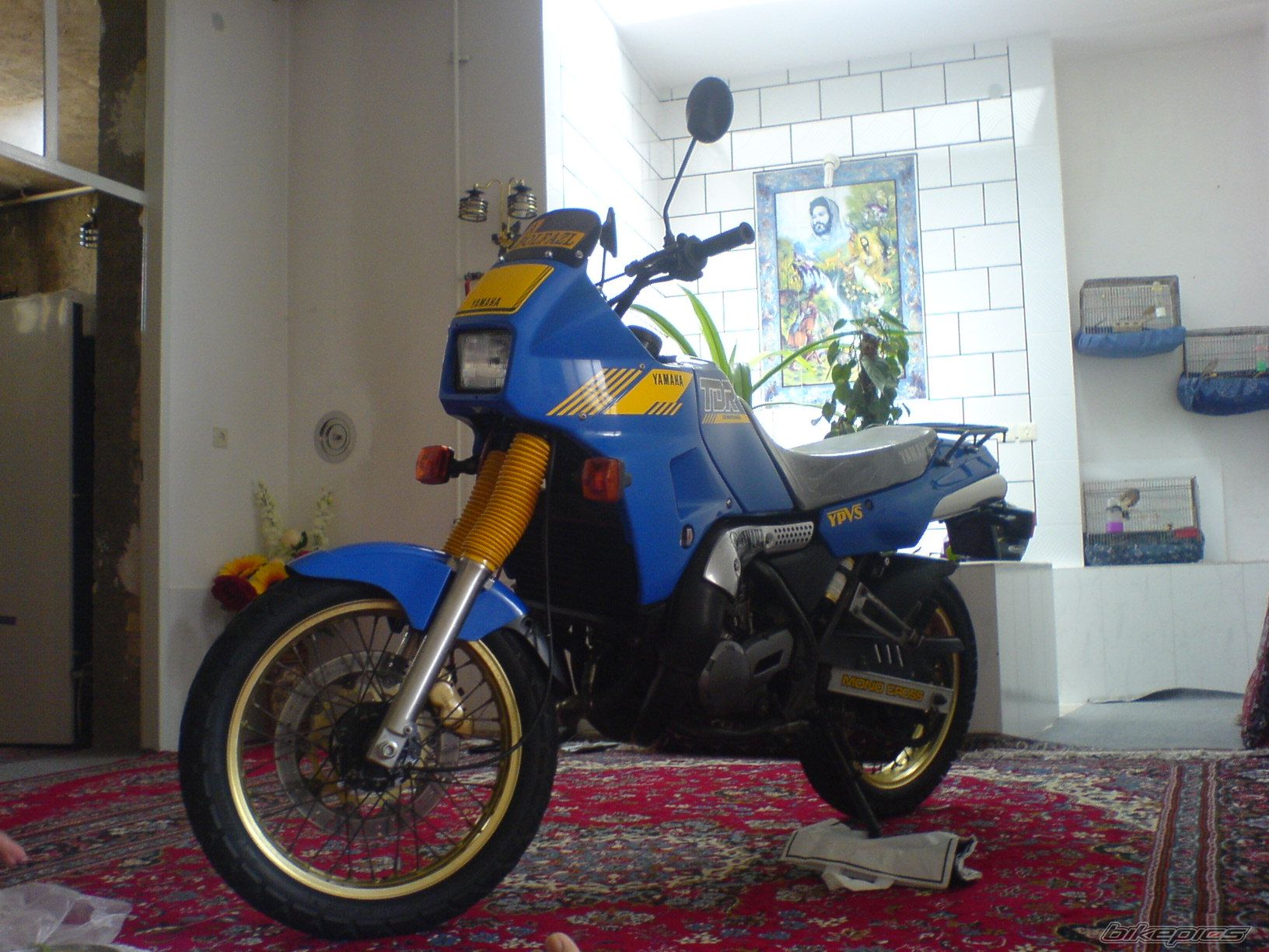 Photo 2638694