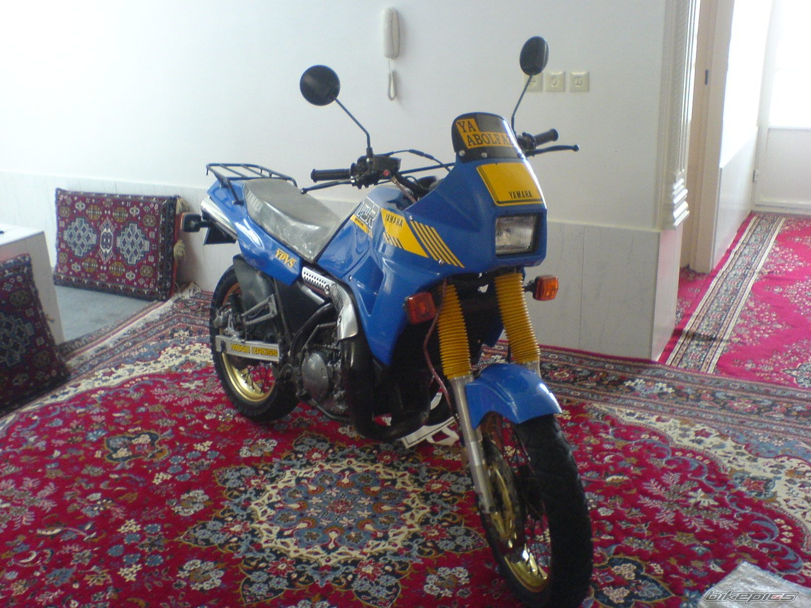 Photo 2638696