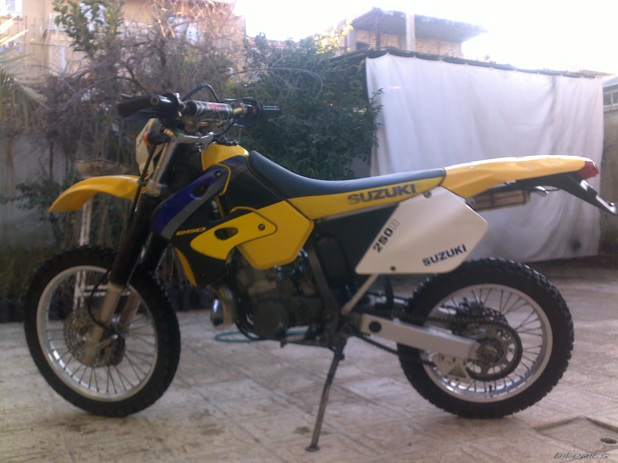 Photo 2638697
