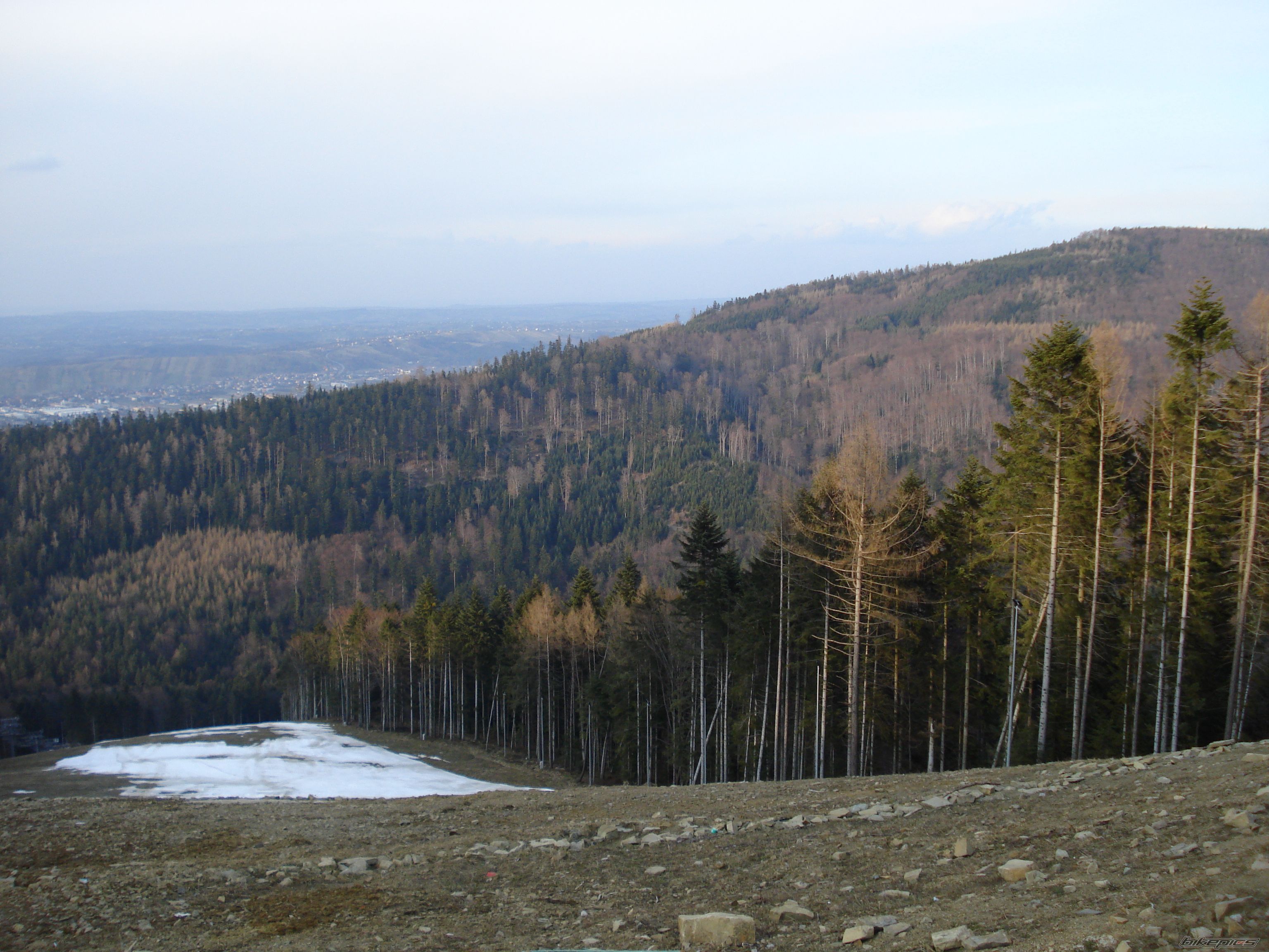 Photo 2638750
