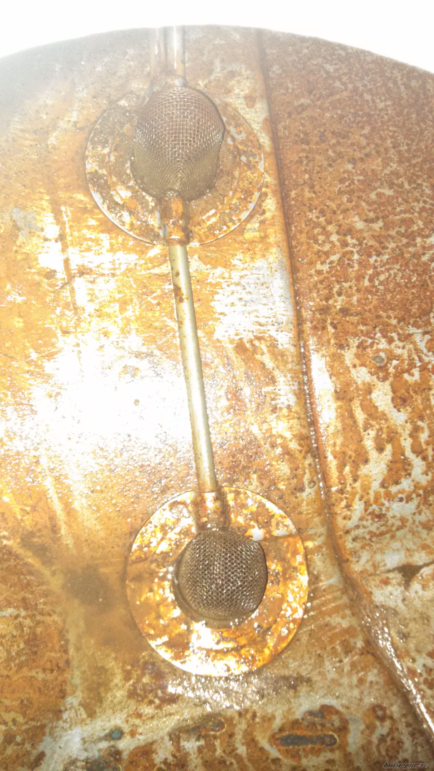 Photo 2638758