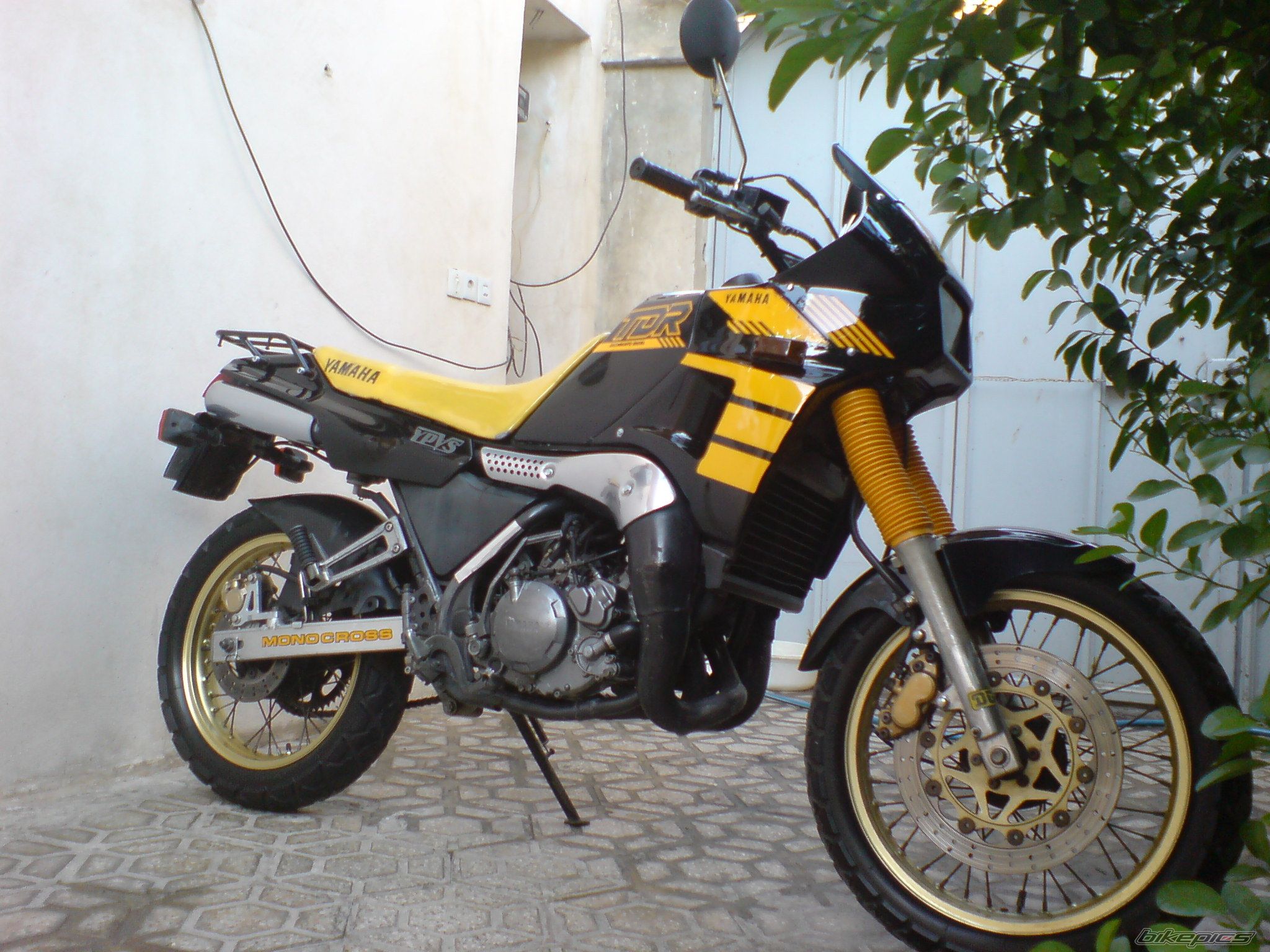 Photo 2638771