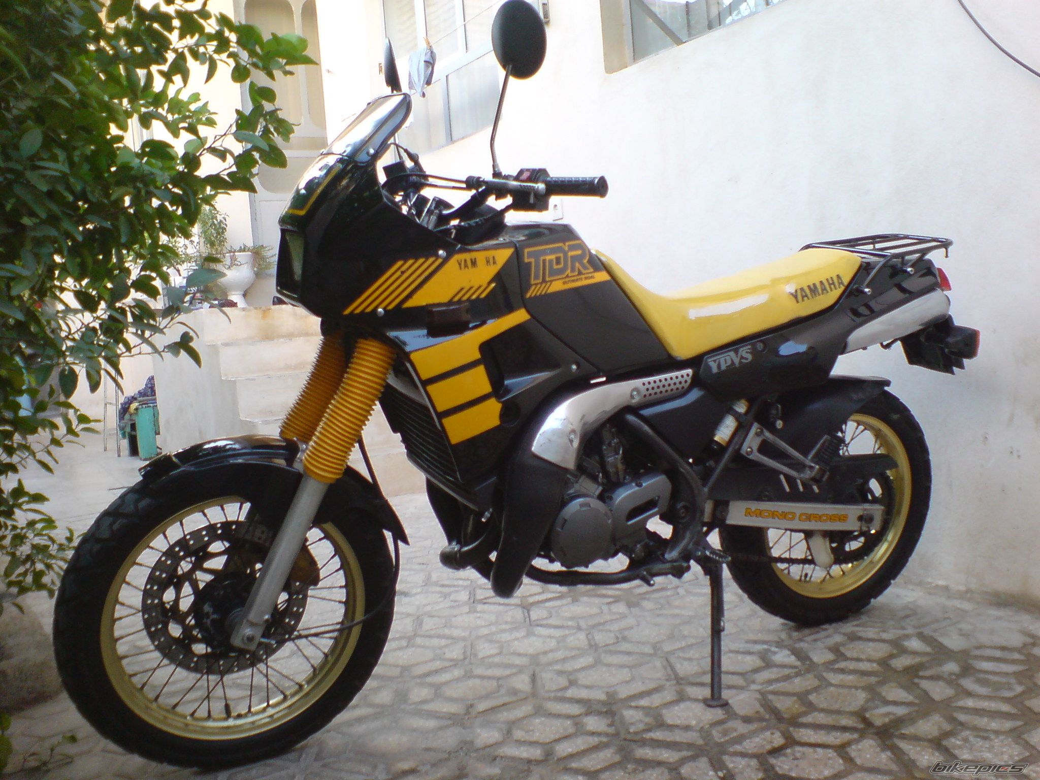 Photo 2638772