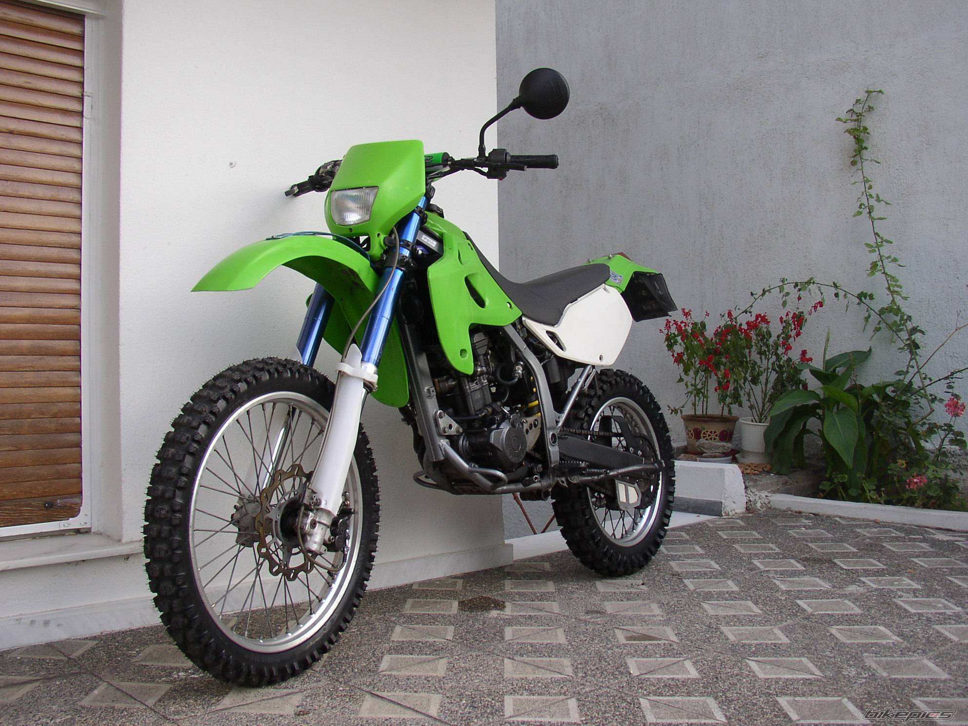 Photo 263884