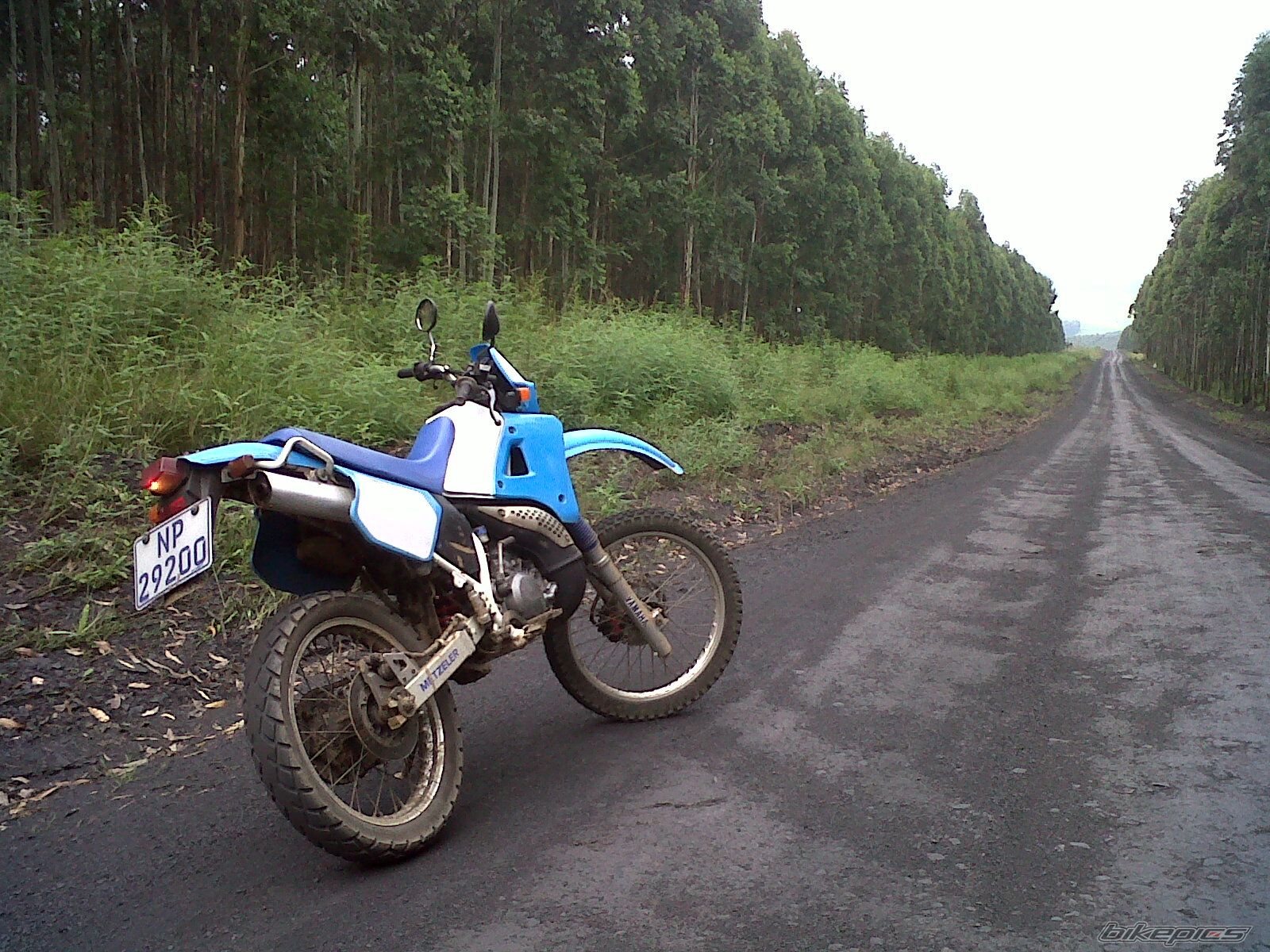 Photo 2638859