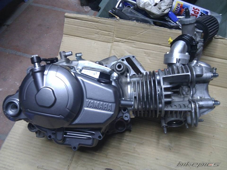 Photo 2638942