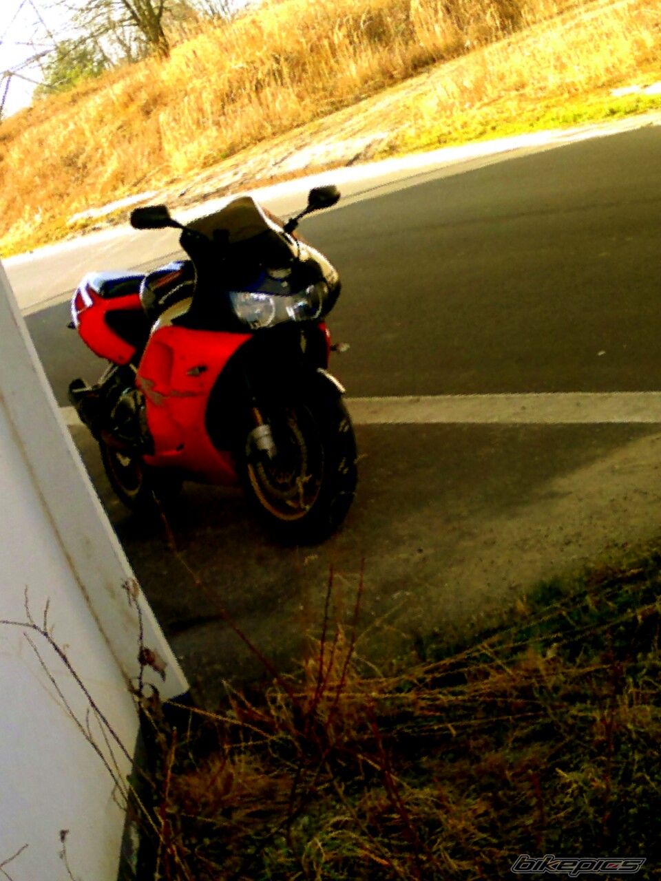 Photo 2638992