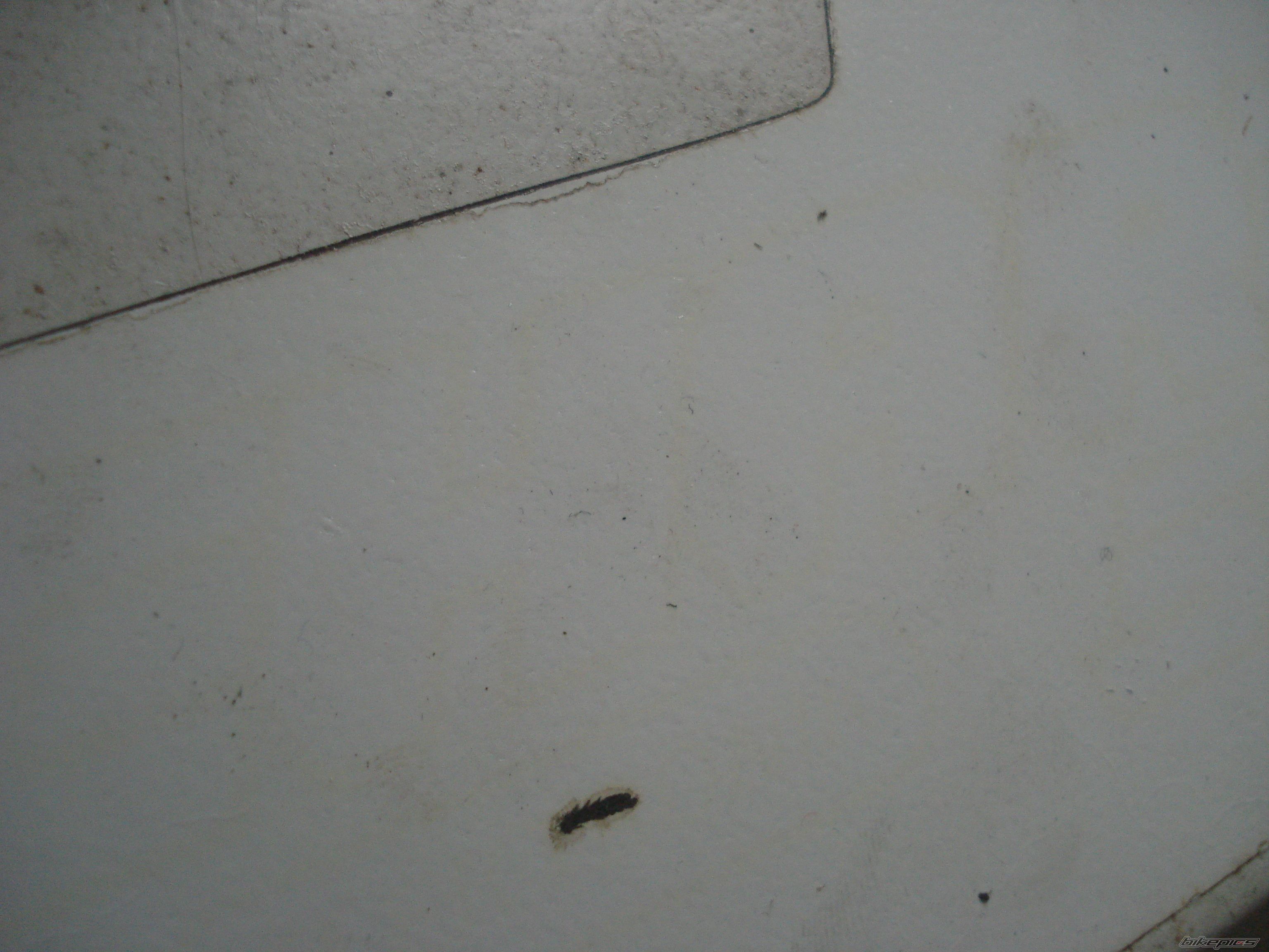 Photo 2639065