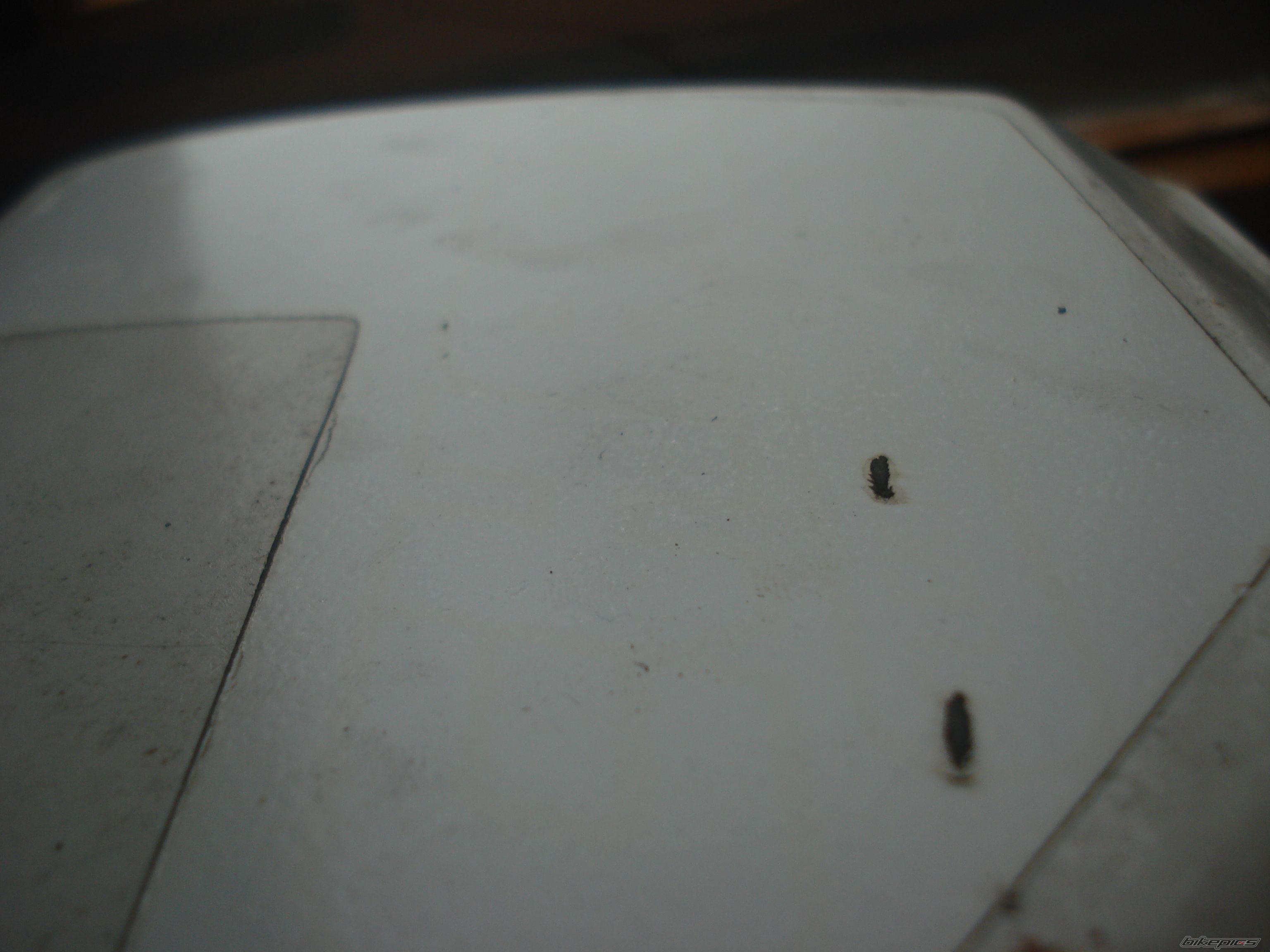 Photo 2639072