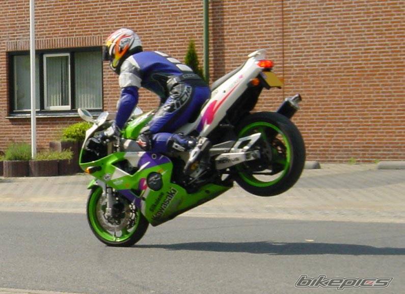 Photo 26391