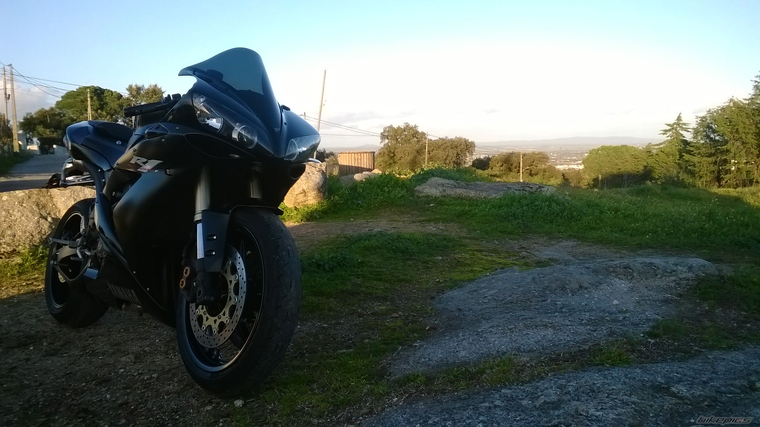 Photo 2639181