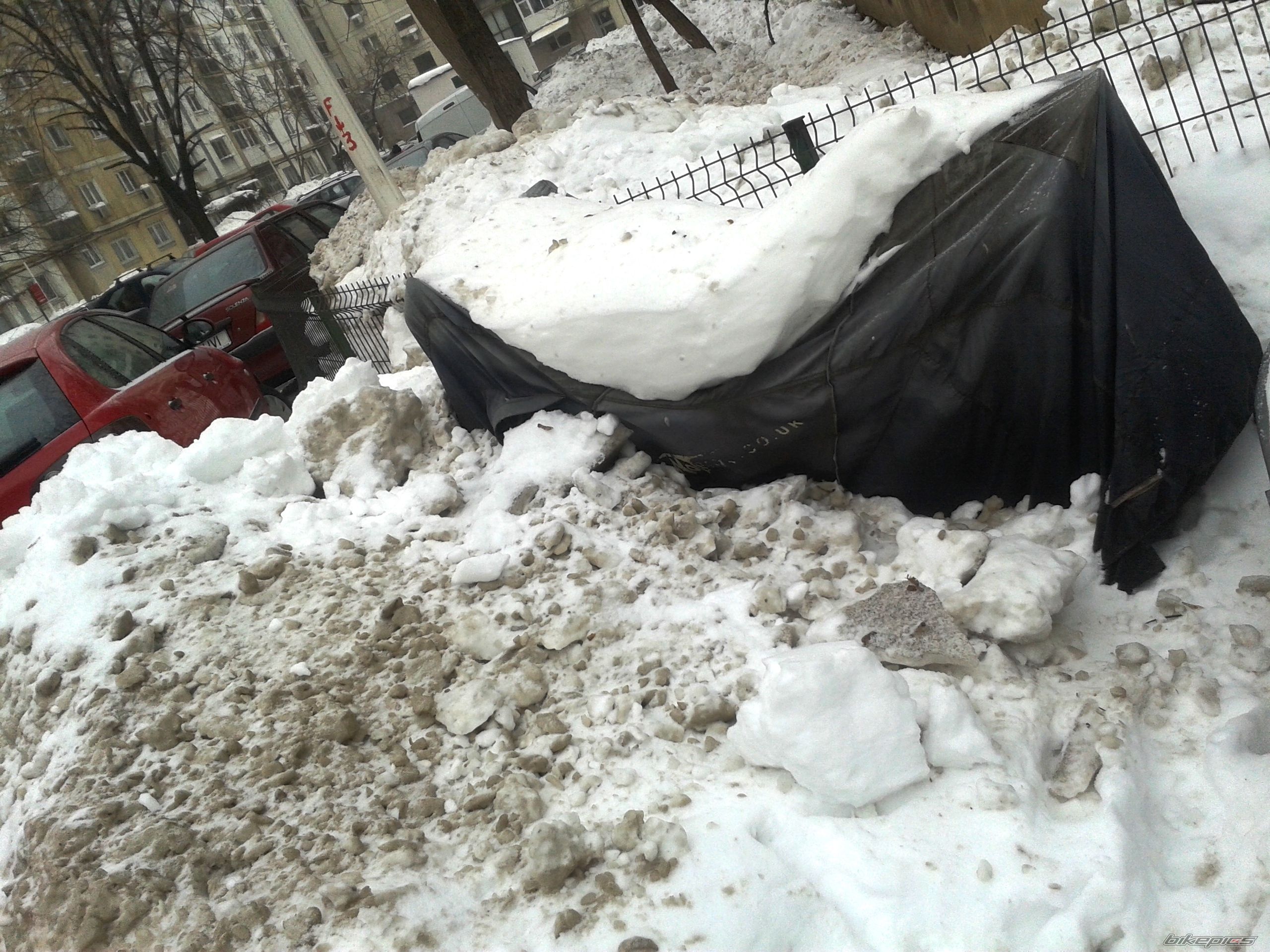 Photo 2639239