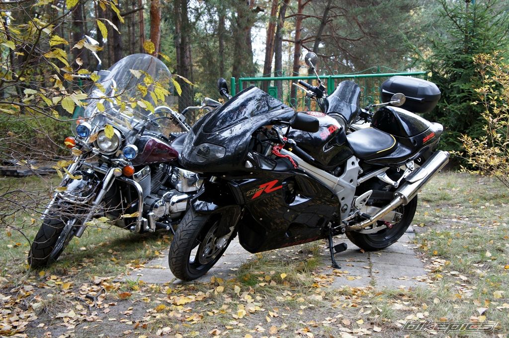 Photo 2639467