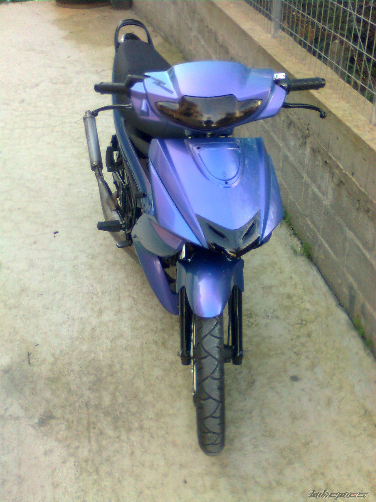 Photo 2639495
