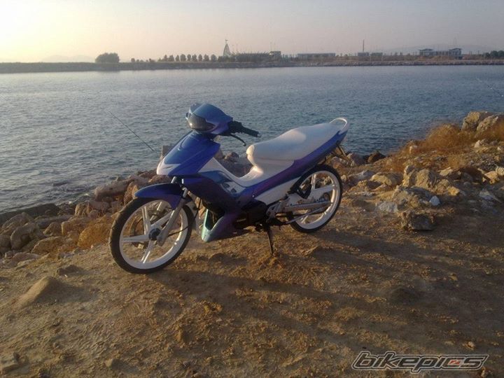 Photo 2639499