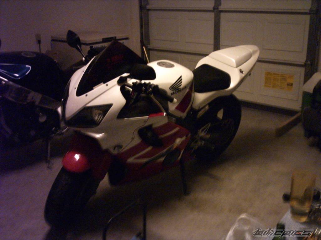 Photo 263951