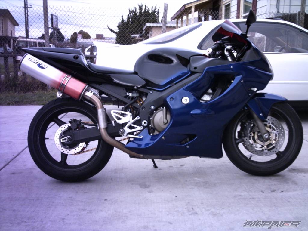 Photo 263952