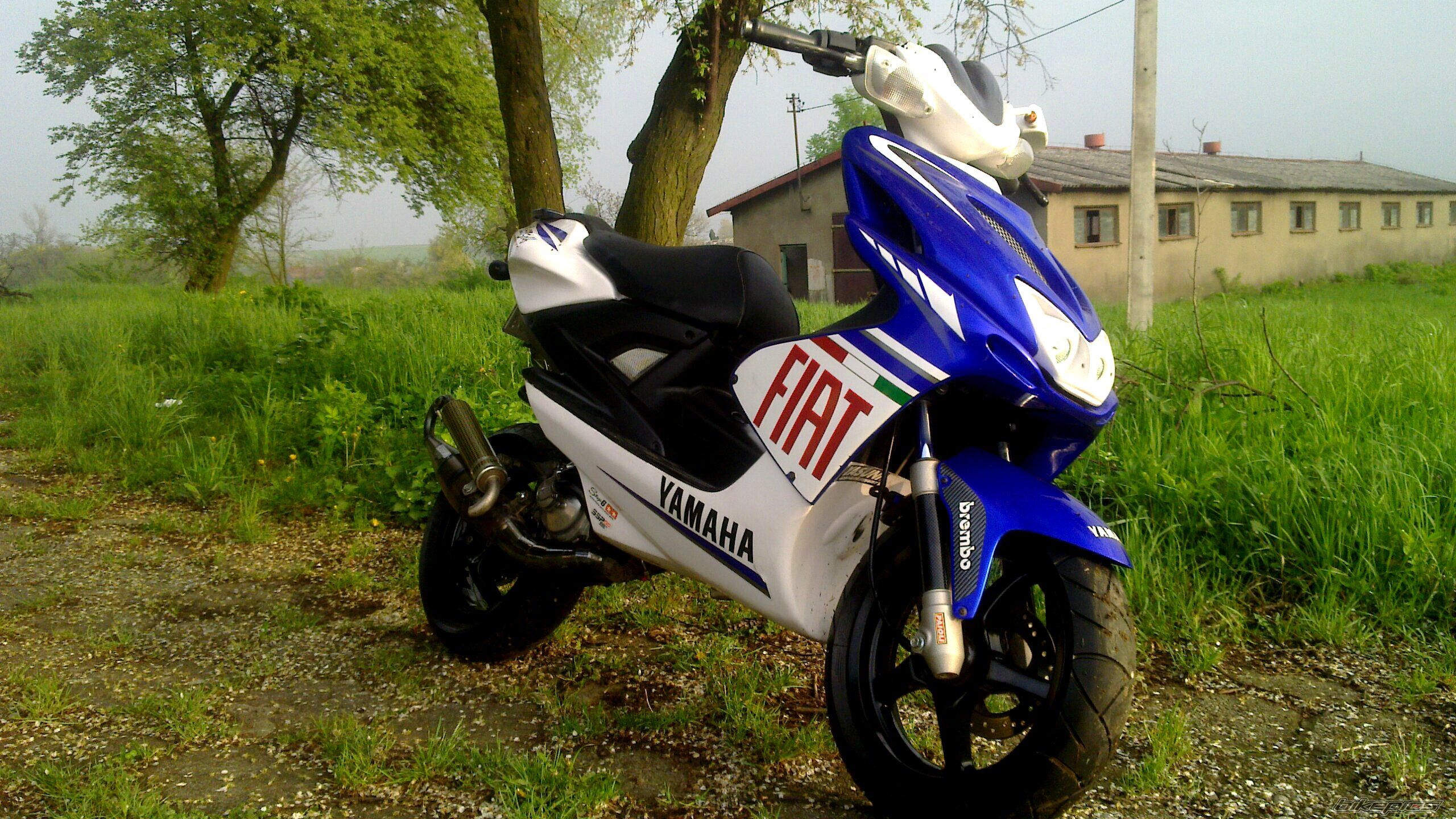 Photo 2639583