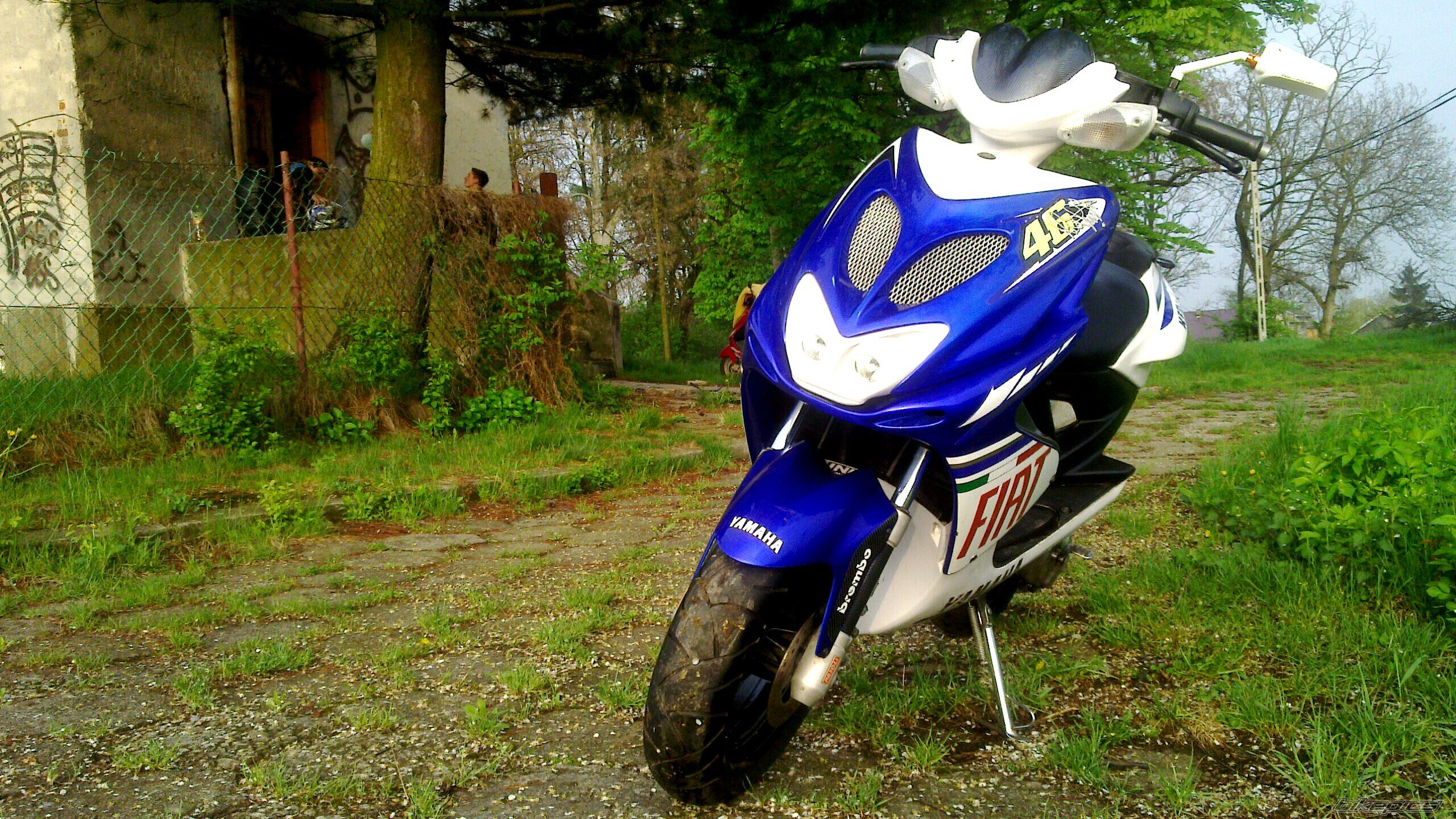 Photo 2639584