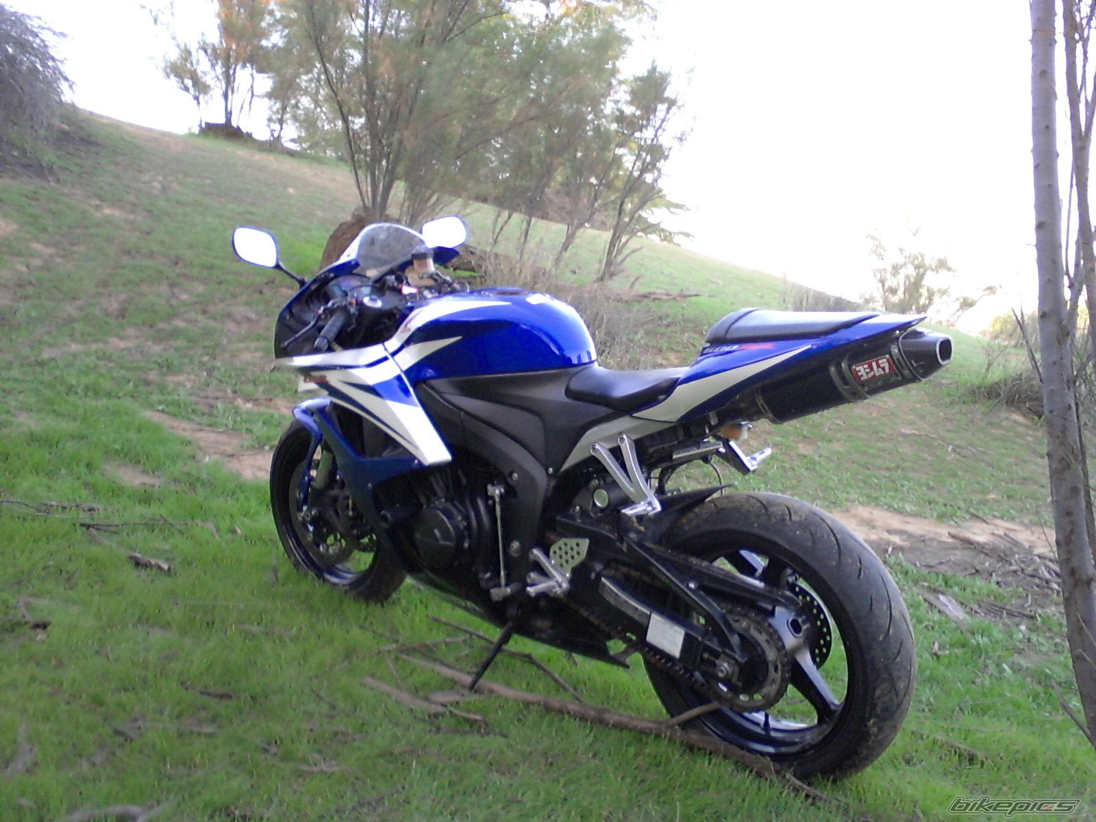 Photo 2639630