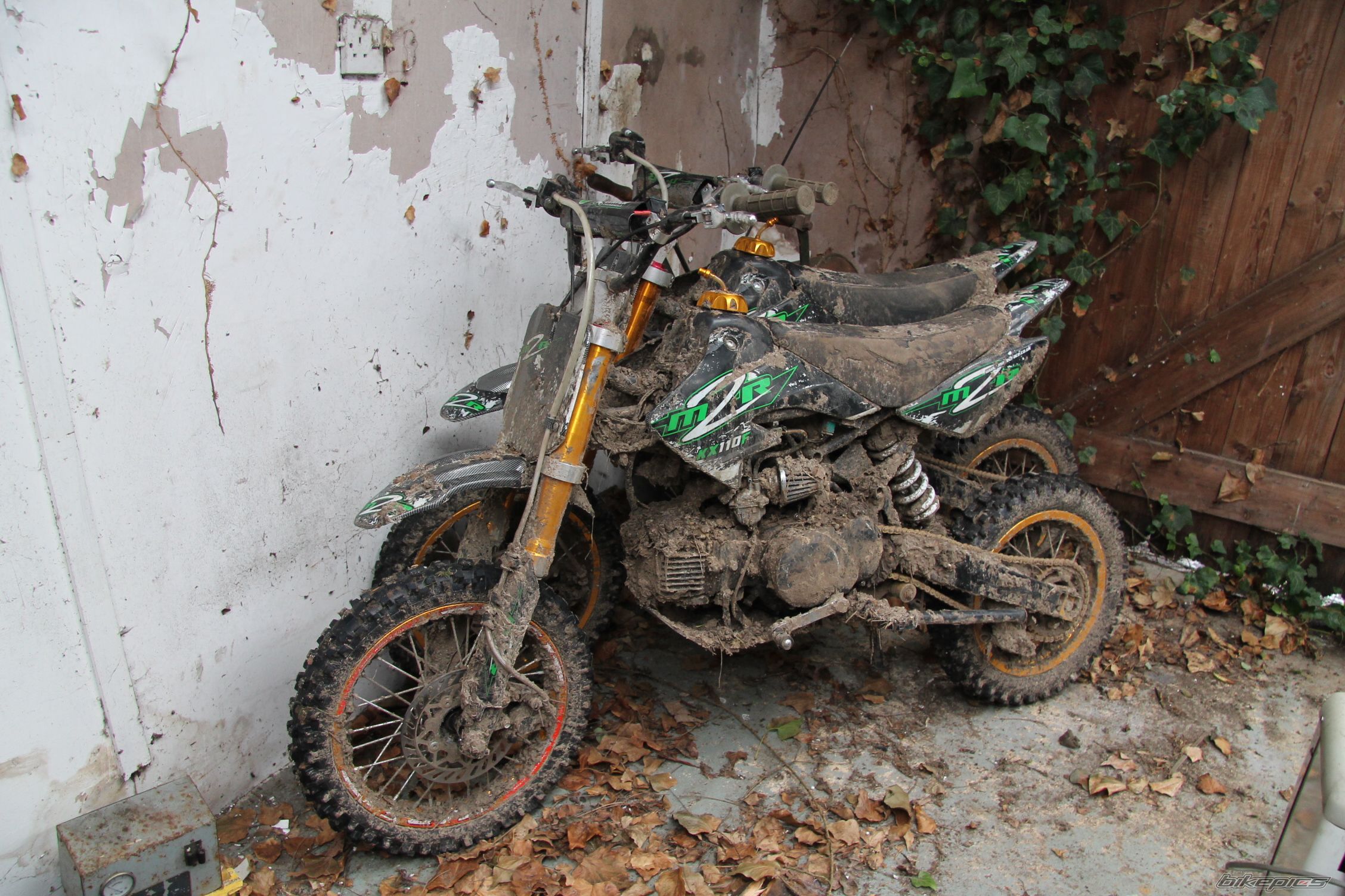 Photo 2639669