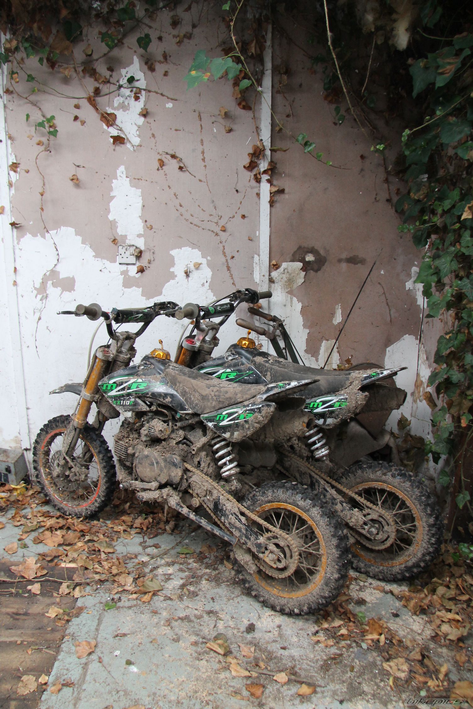 Bike Photo 2639673