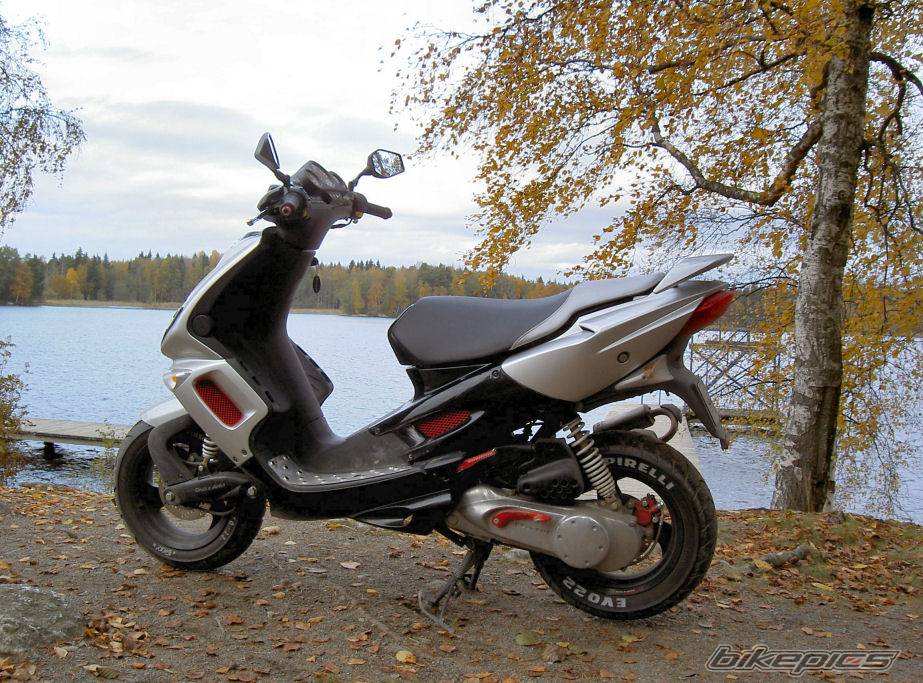 Photo 263981