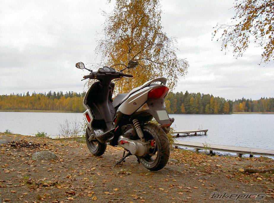Photo 263983