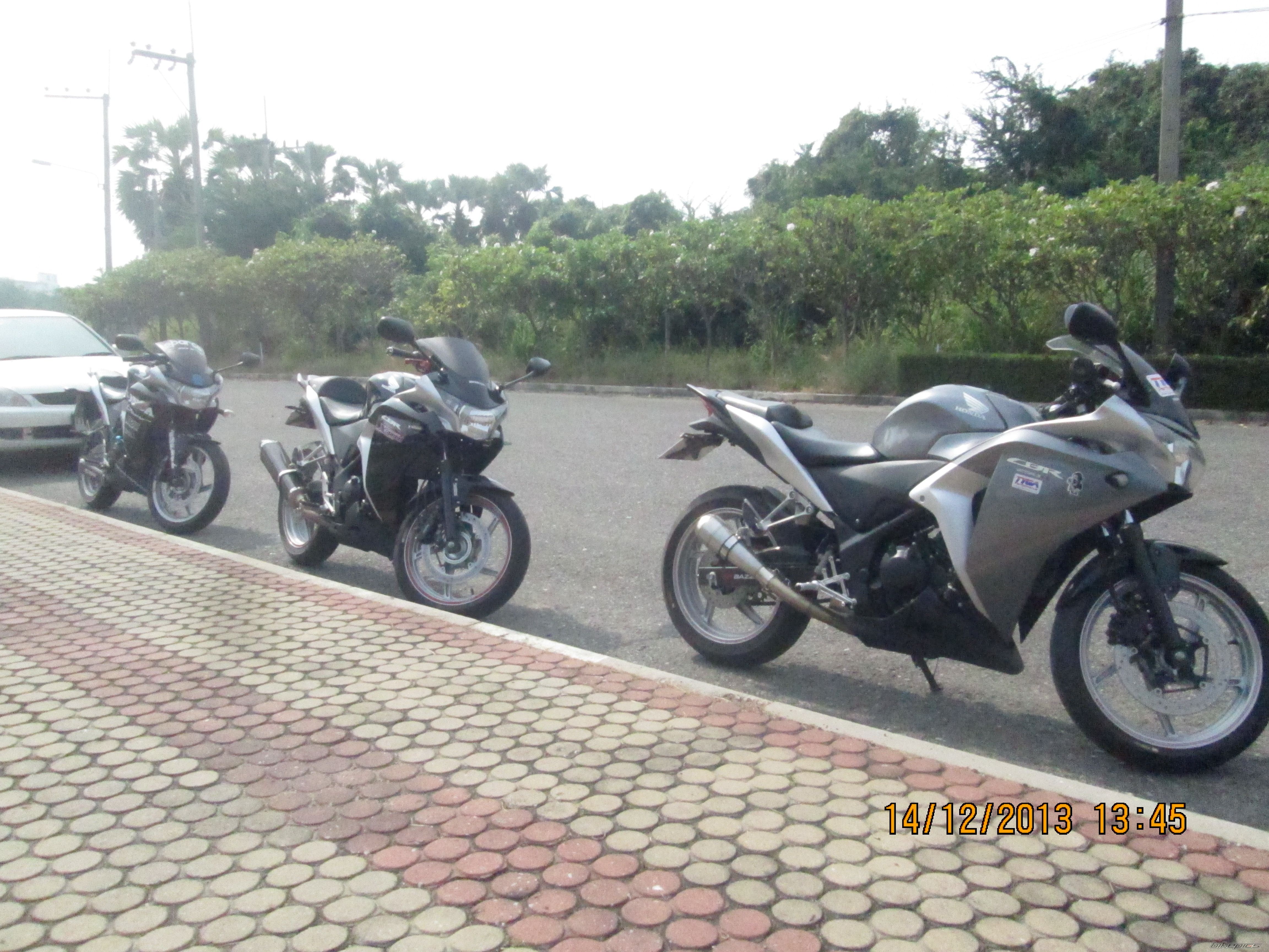 Photo 2639841