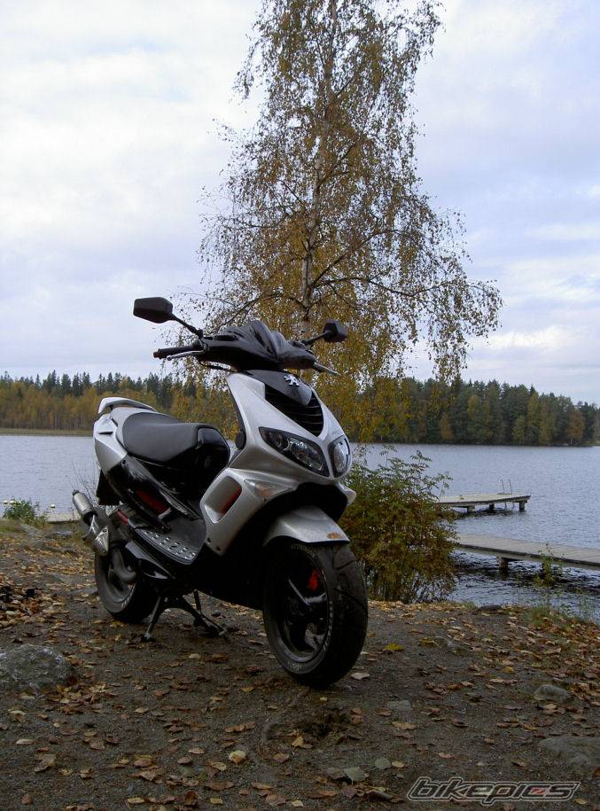 Photo 263985
