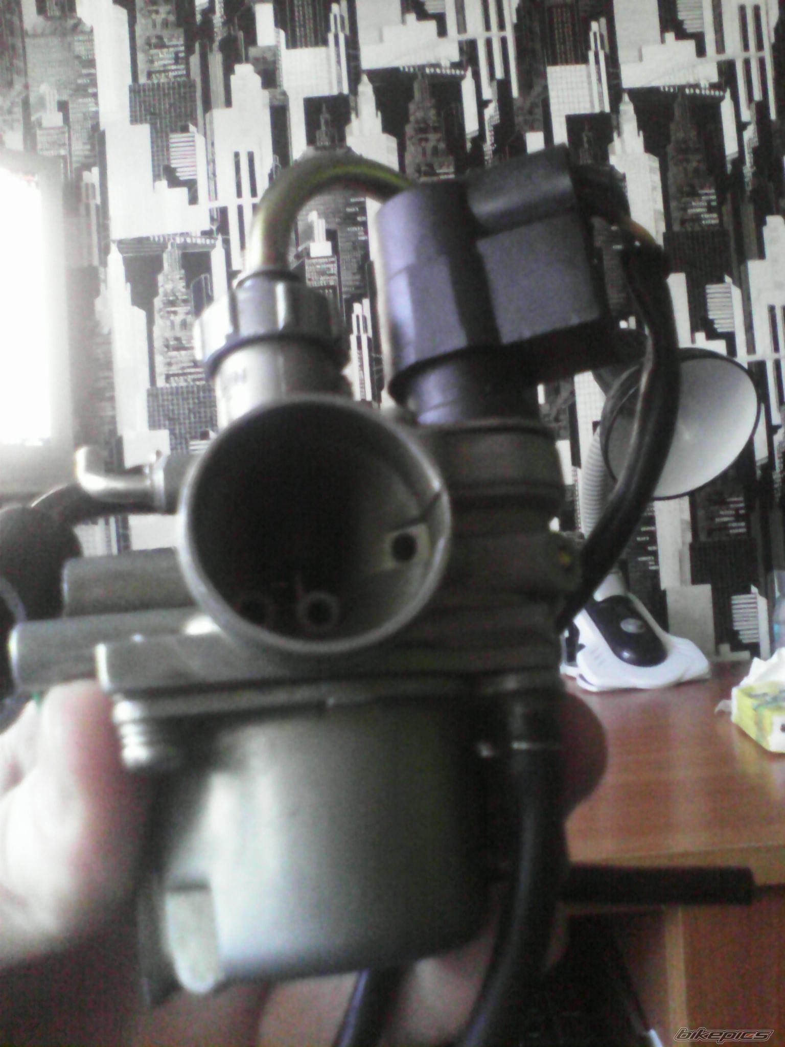 Photo 2639862