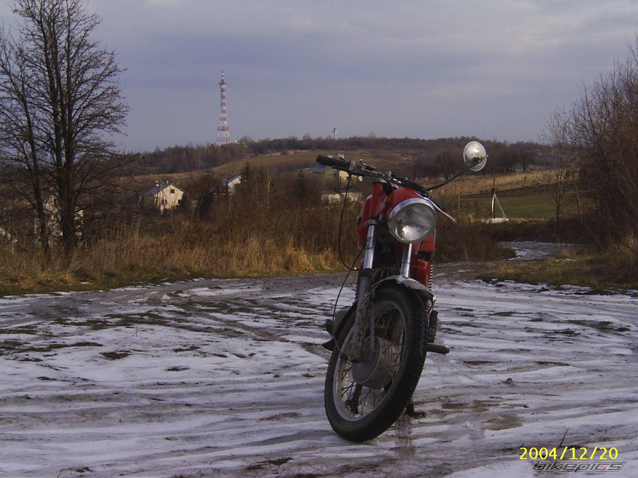 Photo 263990