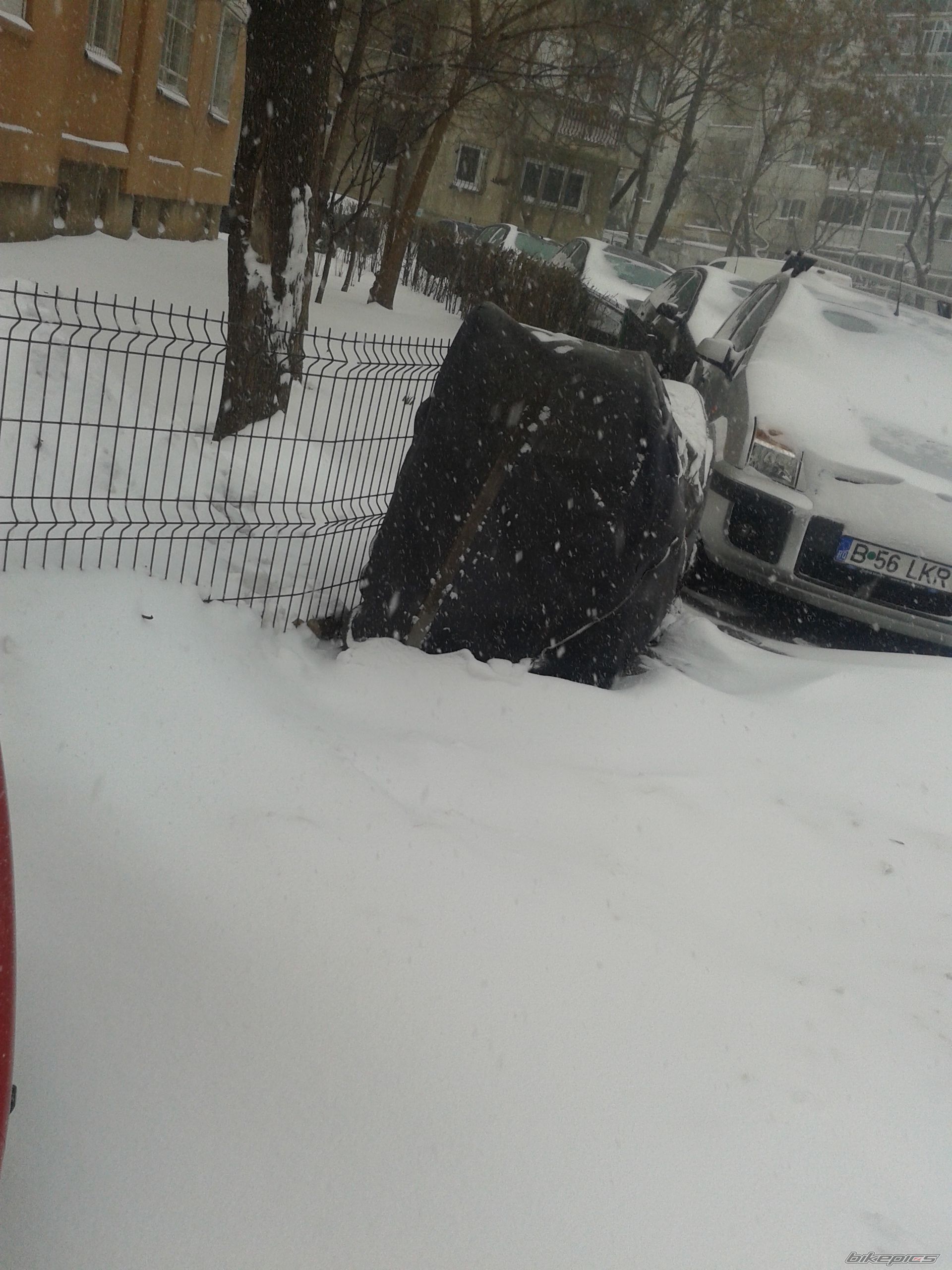 Photo 2639946