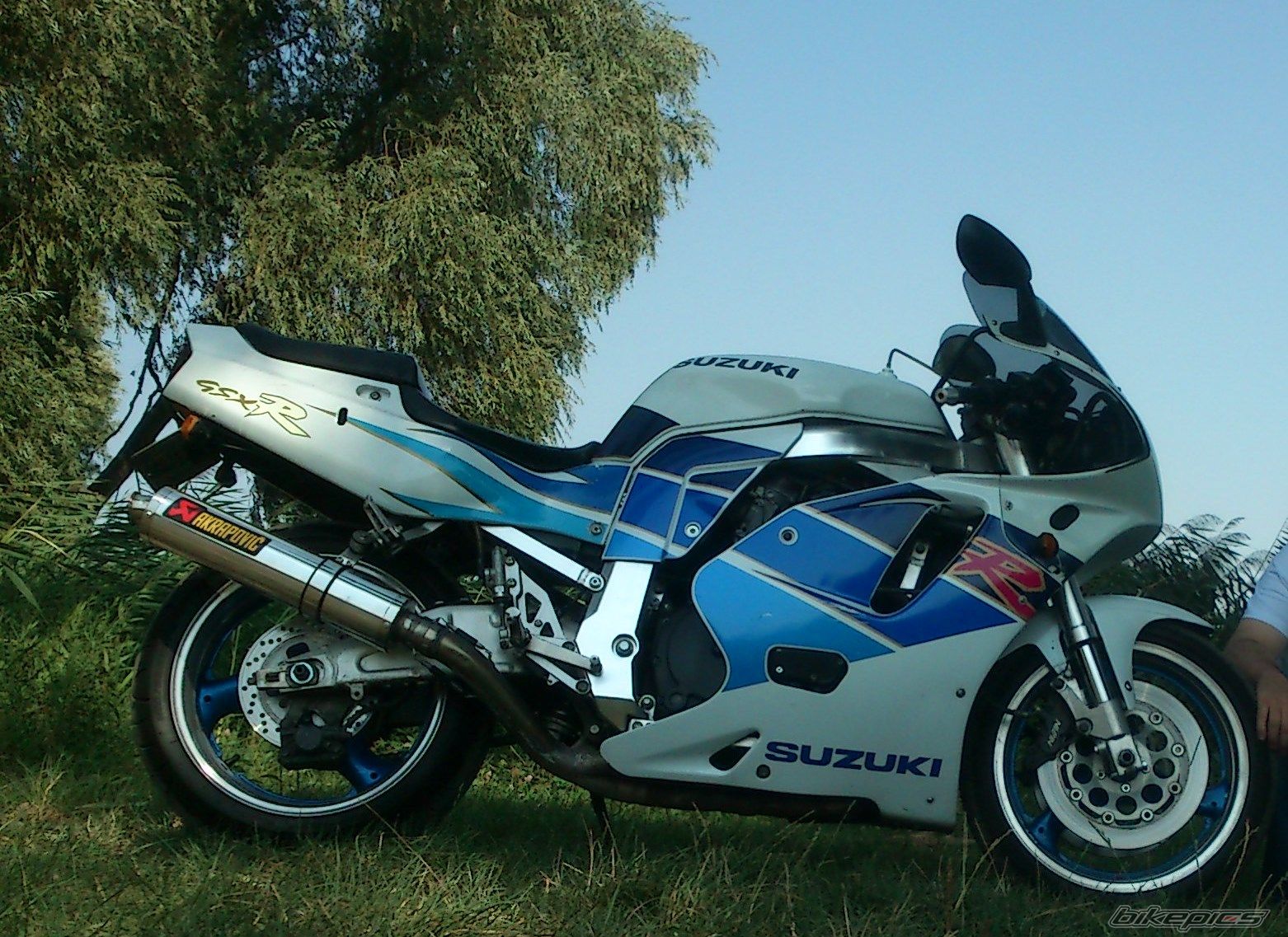 Photo 2639947