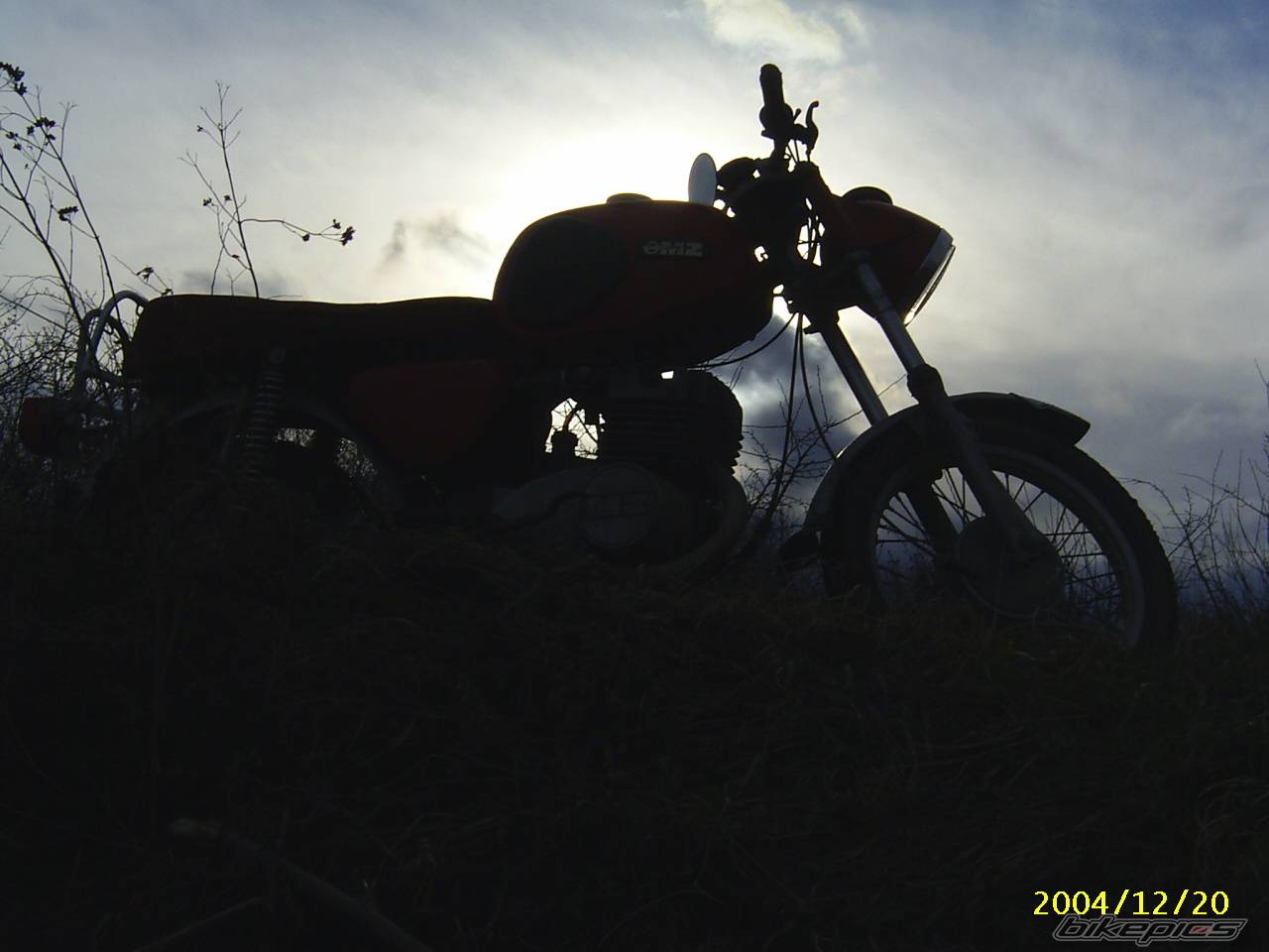 Photo 263995