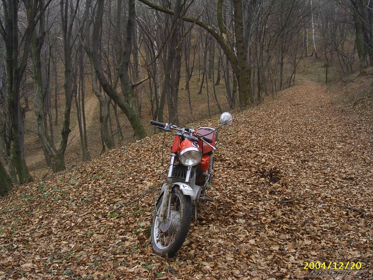 Photo 264004