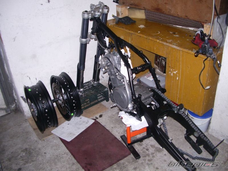 Photo 2640053