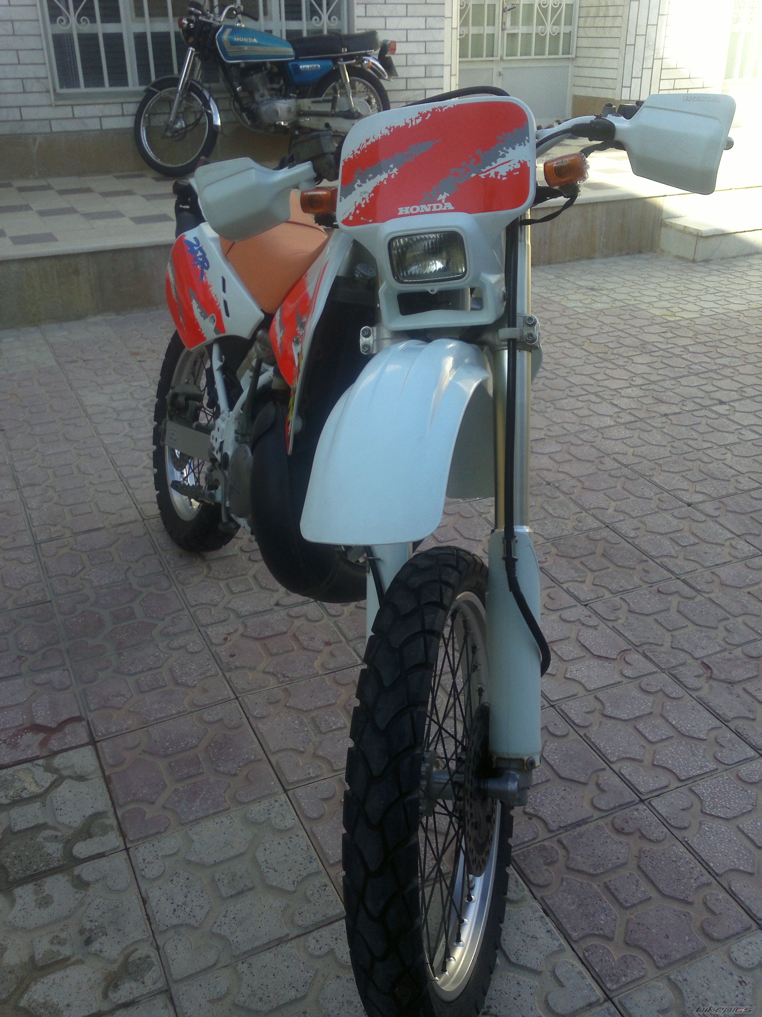 Photo 2640211