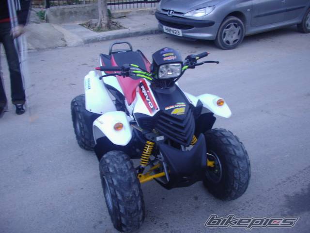 Photo 264032