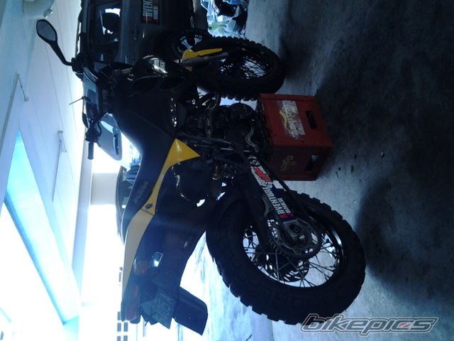 Photo 2640435