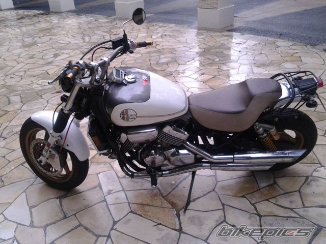Photo 2640459