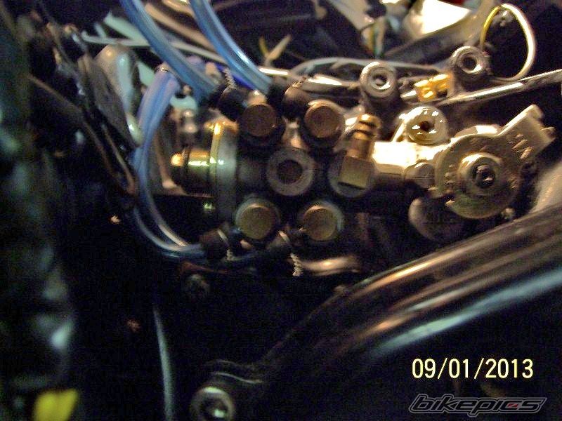 Photo 2640558