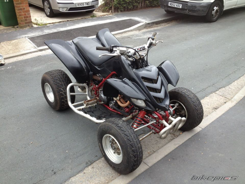 Photo 2640599