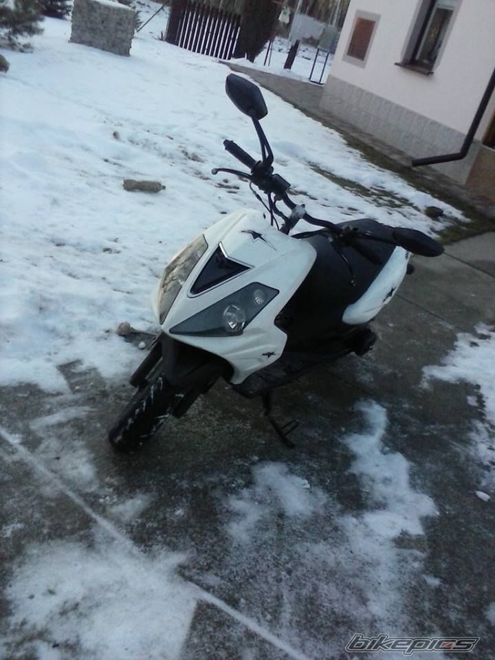 Photo 2640609