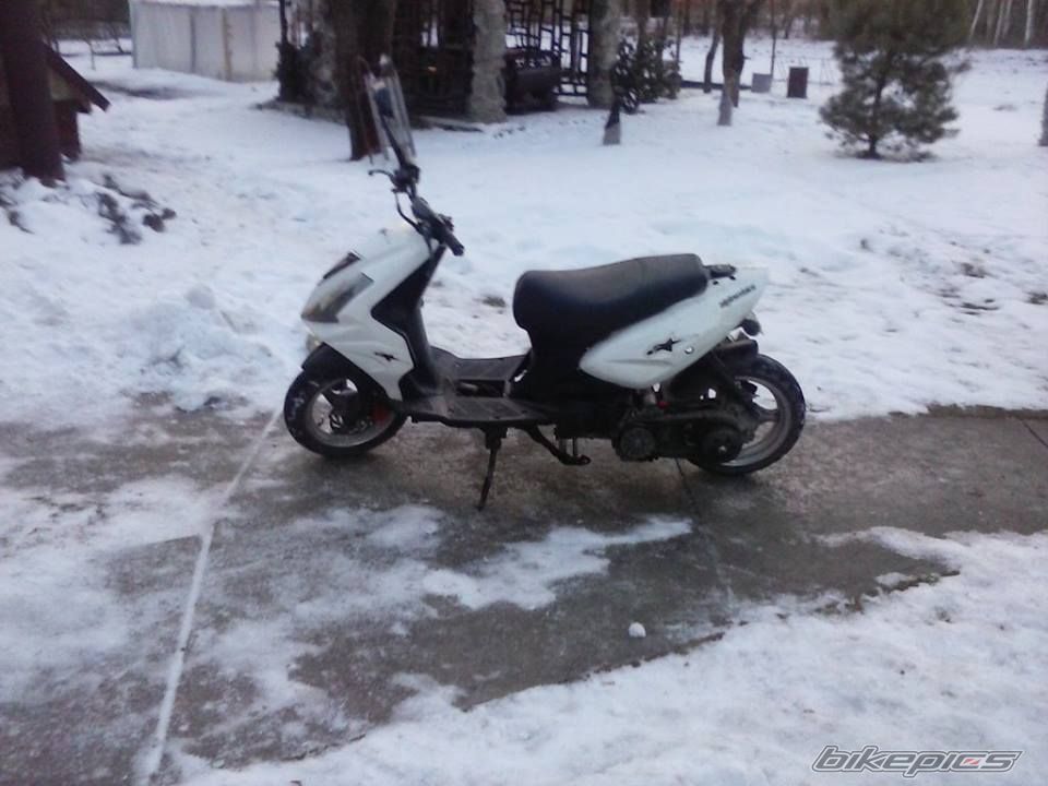 Photo 2640610