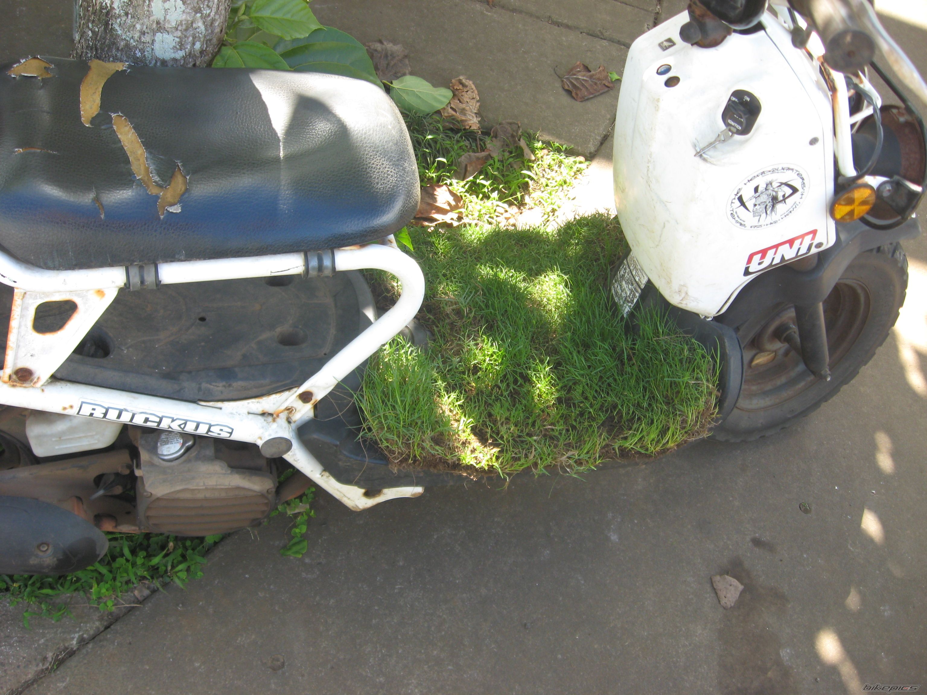 Photo 2640682