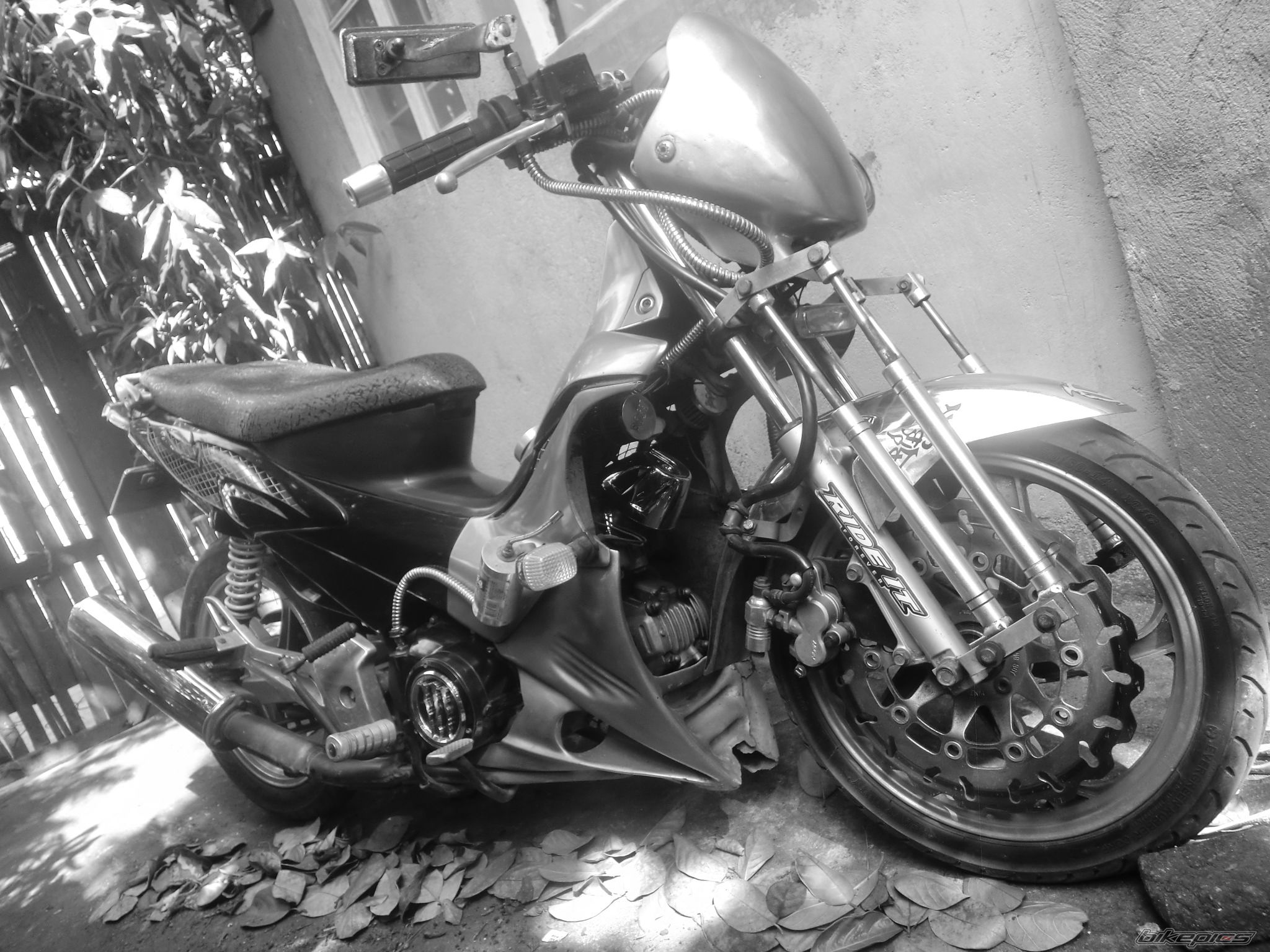 Photo 2640763