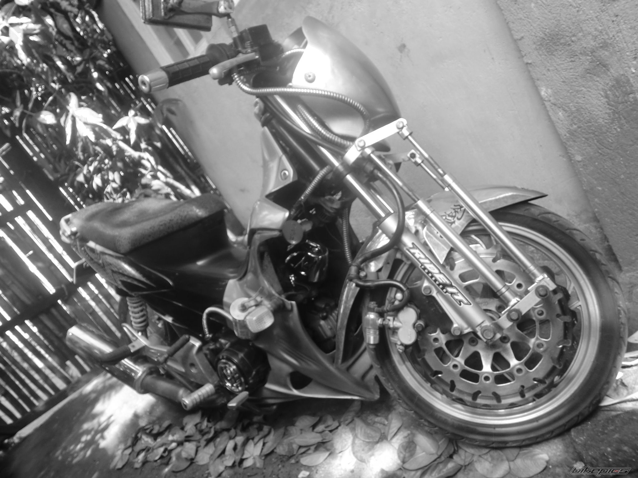Photo 2640764